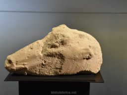 Ciudad de Elche 2022